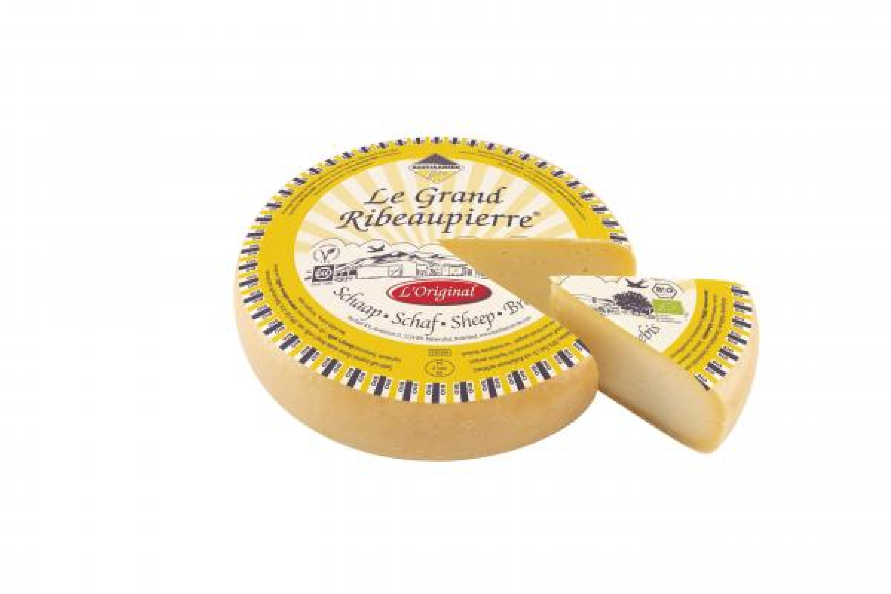 Schaf-Ribeaupierre