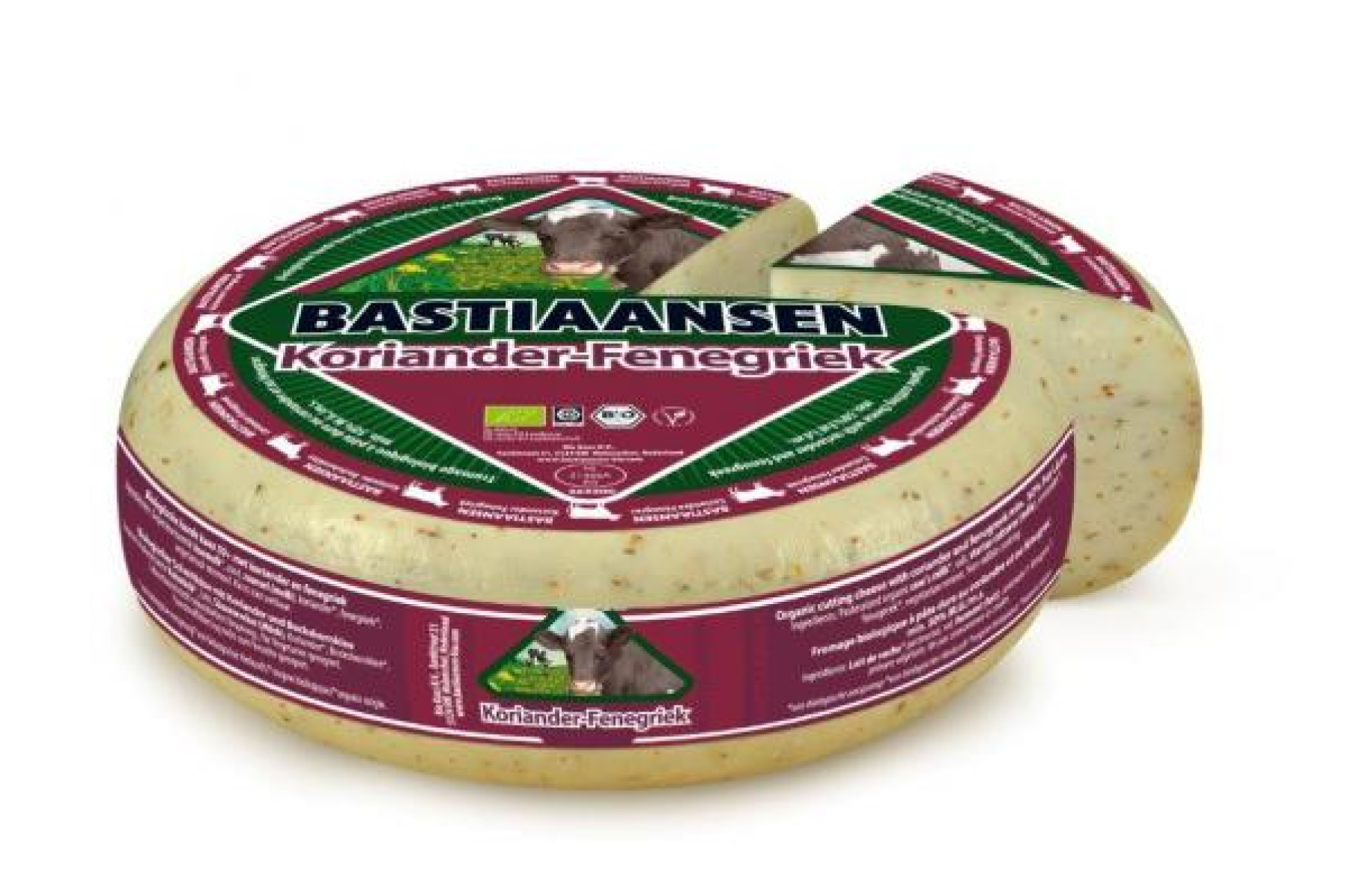 Koriander-Käse