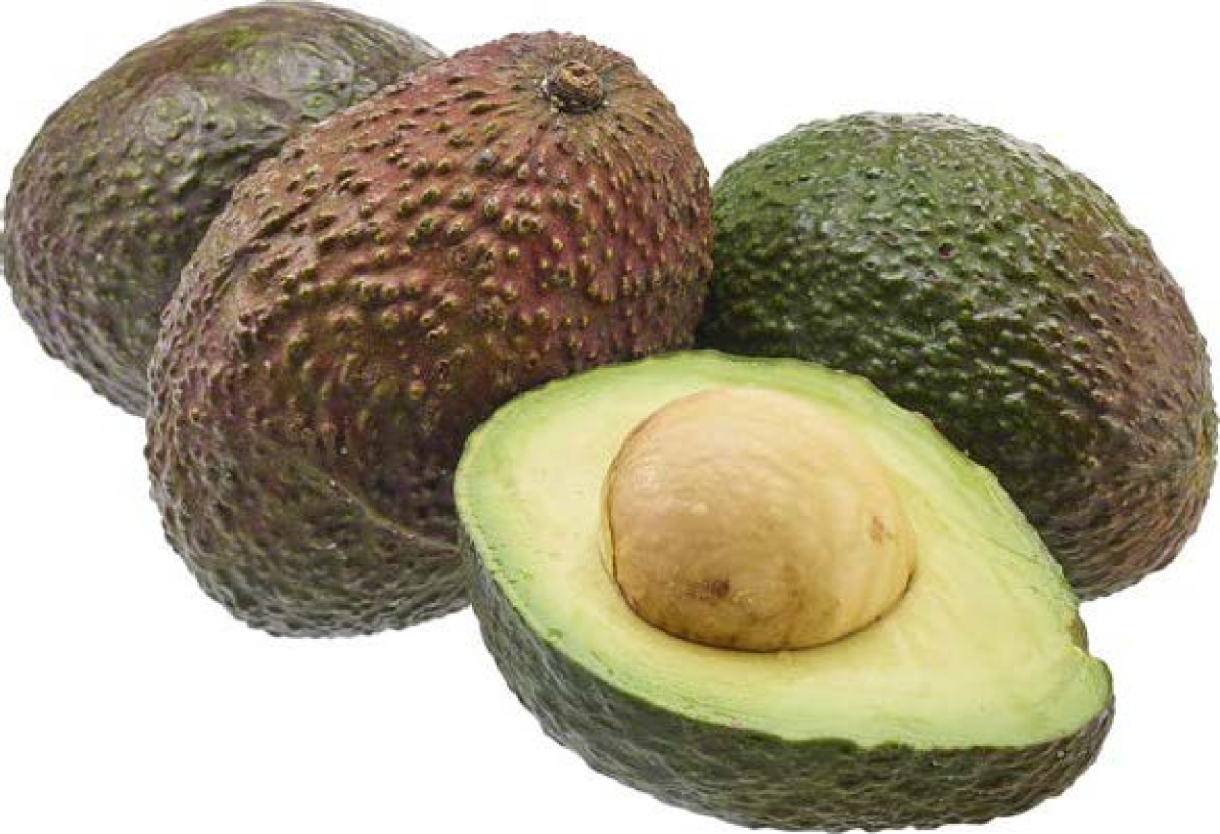 Avocado Hass