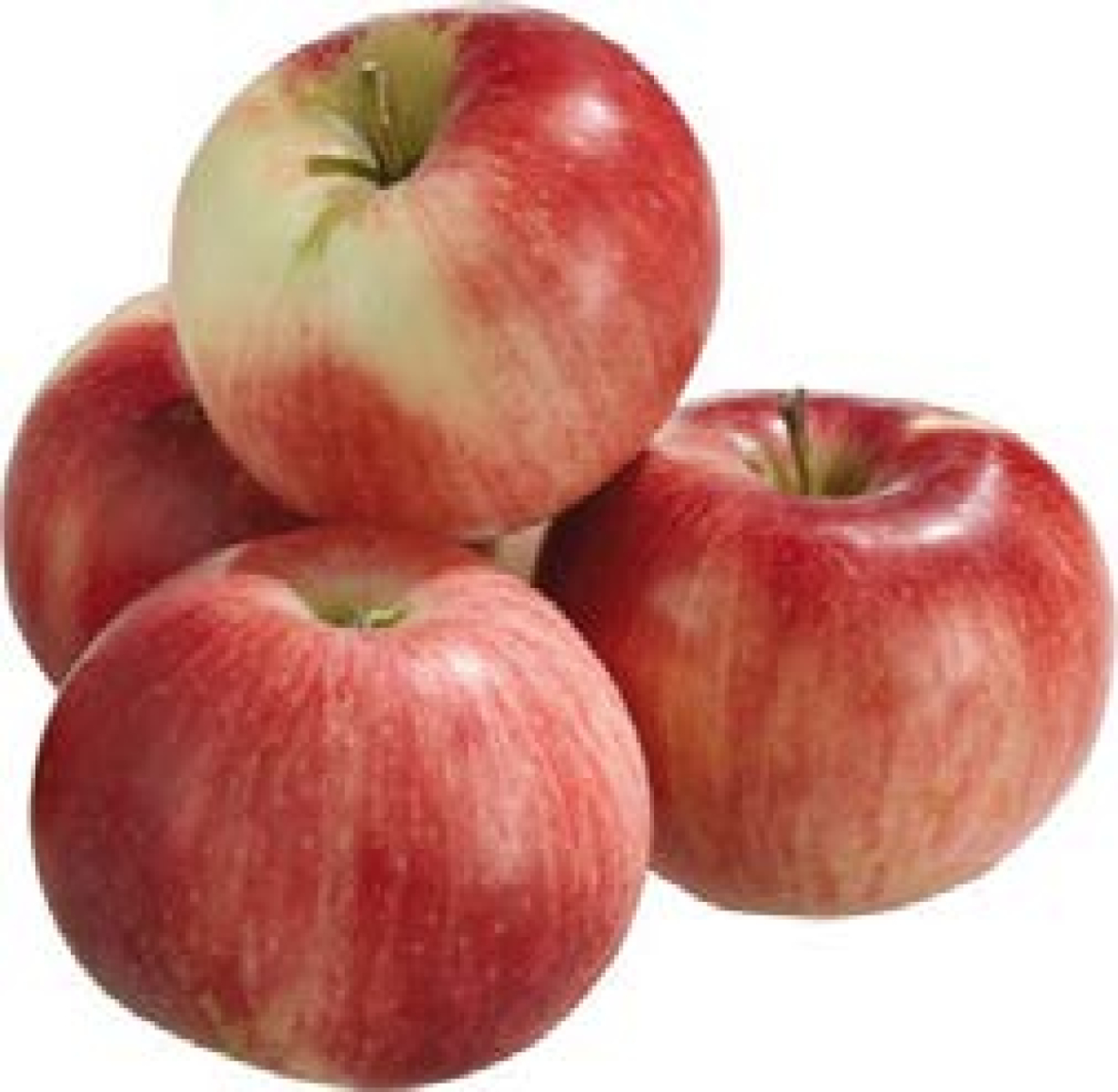 Apfel Gala Deutschland/ Italien