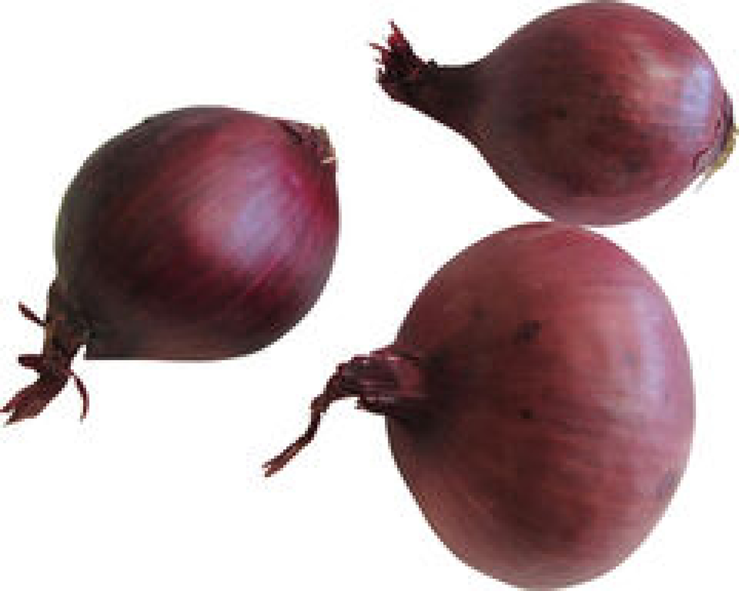 Zwiebeln rot DEUTSCHLAND