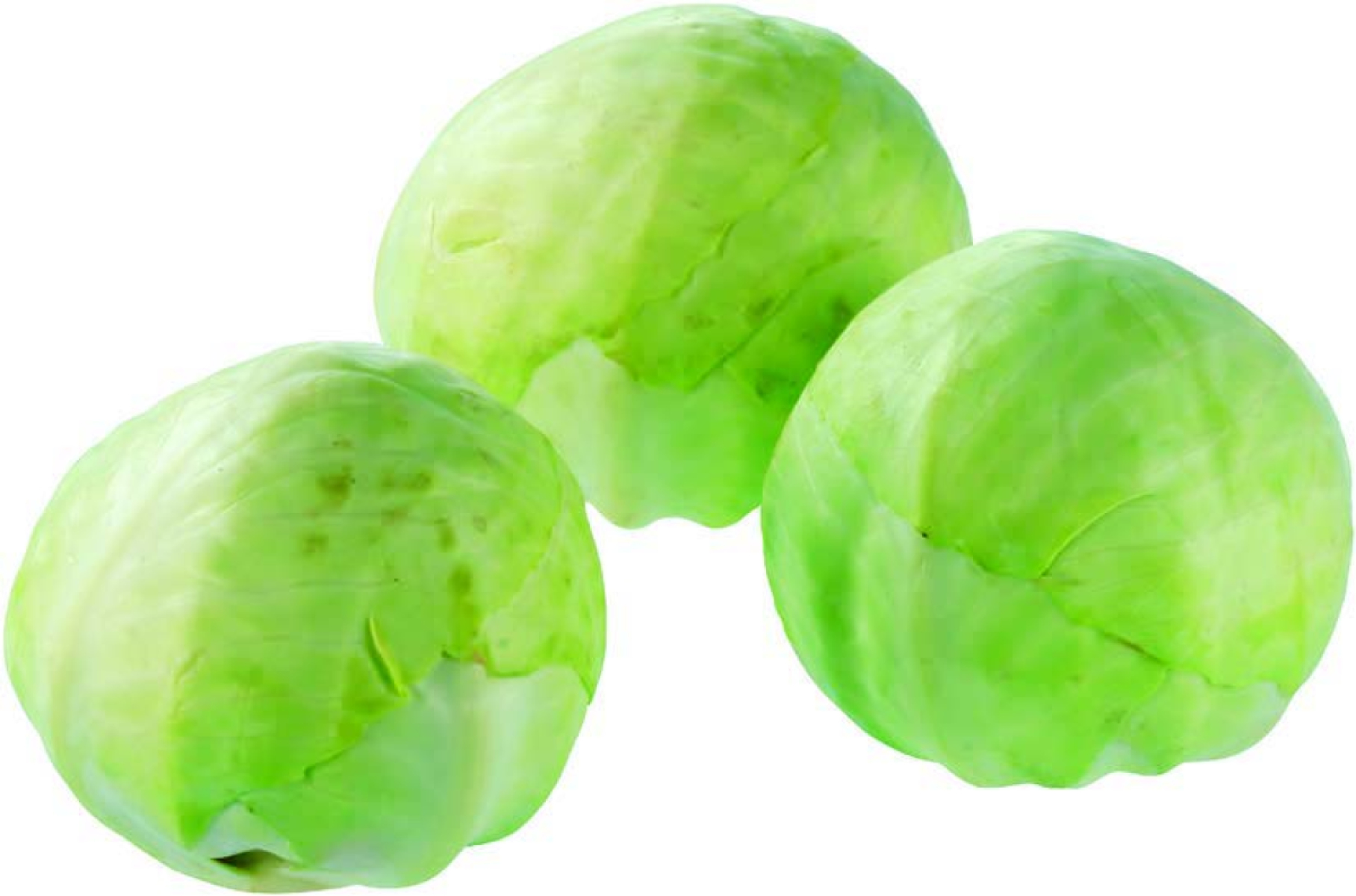 Weißkohl Deutschland