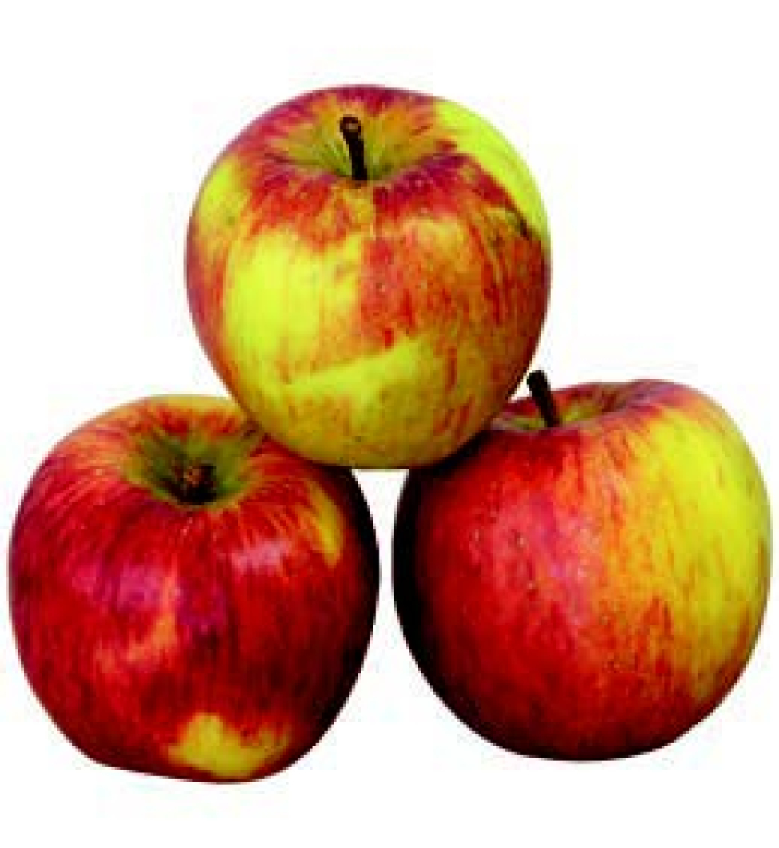 Apfel Topaz DEUTSCHLAND