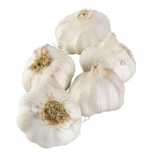 Knoblauch trocken