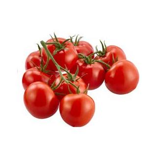 Strauchtomate