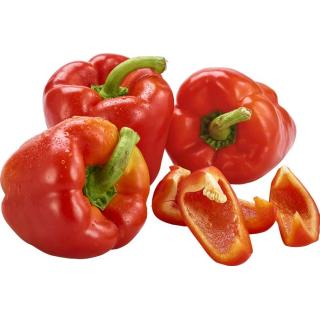 Paprika rot