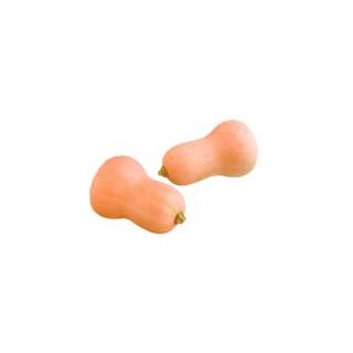 Kürbis Butternut