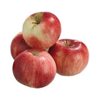 Apfel Gala Deutschland/ Italien