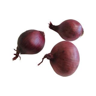 Zwiebeln rot