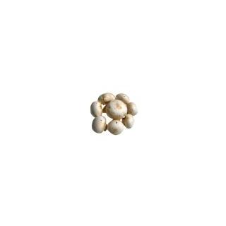 Champignon braun lose Deutschland