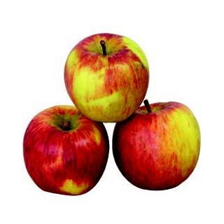 Apfel Topaz Deutschland/ Italien