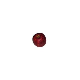 Apfel Jonagold Deutschland