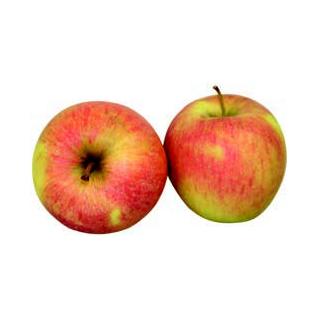 Apfel Pinova