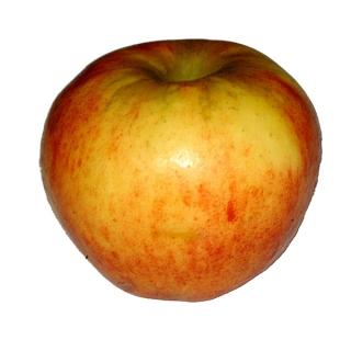 Apfel Natyra Deutschland