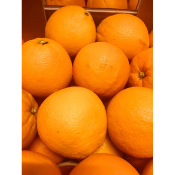 Bio-Orangen Kiste 7,5 kg