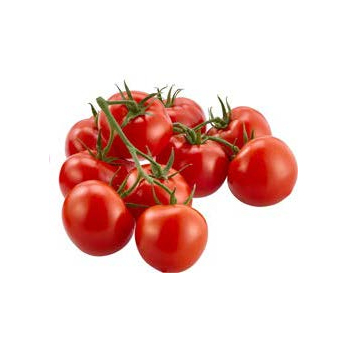 Strauchtomate