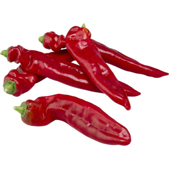 Spitzpaprika rot