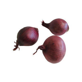 Zwiebeln rot
