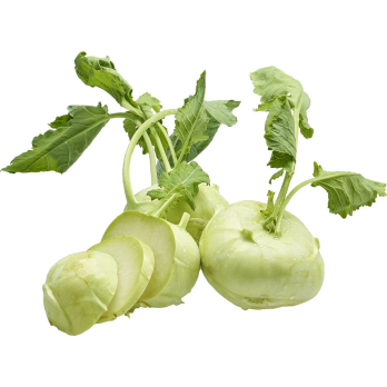 Kohlrabi weiß DEUTSCHLAND