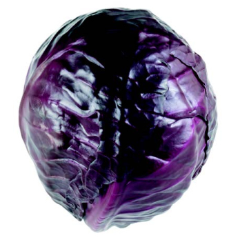 Rotkohl DEUTSCHLAND