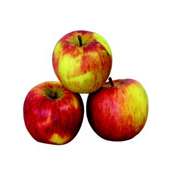 Apfel Topaz Deutschland/ Italien