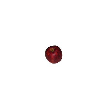 Apfel Jonagold Deutschland