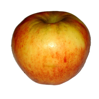 Apfel Natyra Deutschland