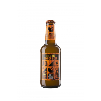 Aqua Monaco Organic Ginger Beer, 0,23 ltr Flasche
