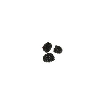 Brombeeren 125g Schale